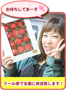 クール便で全国に発送致します!